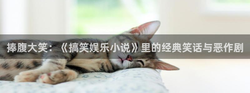 新航娱乐登录地址