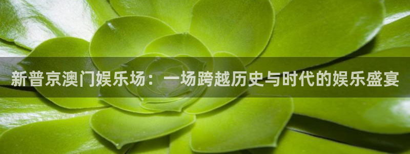 新航娱乐注册