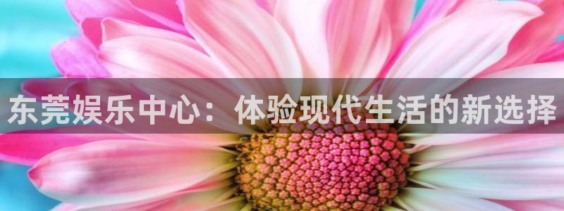 新航娱乐登录地址