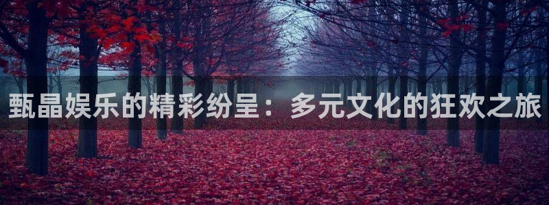 新航娱乐官网