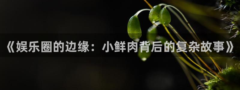 新航娱乐官网登录入口