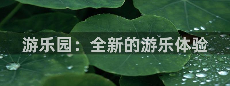 新航娱乐官网